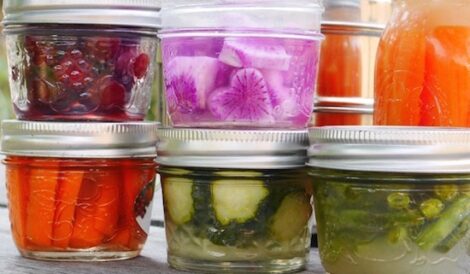 Fermentables: Easy Home Fermentation Adds Excitement and Health to School (or Work) Lunches Image